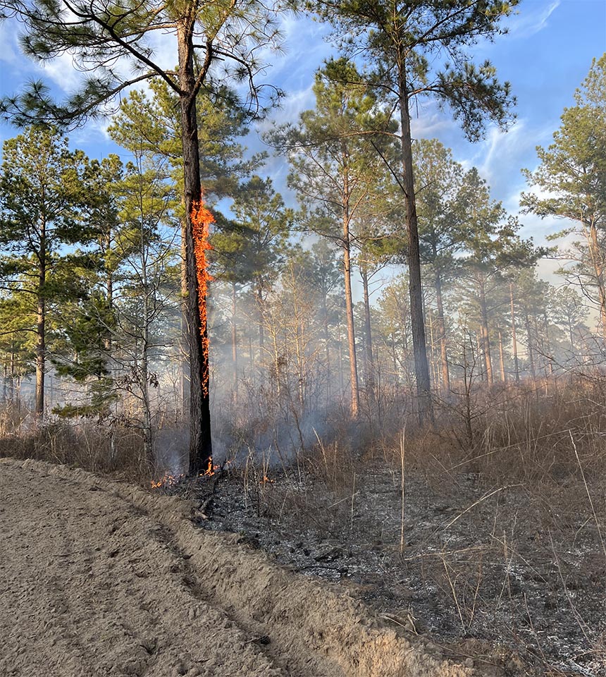 Land Management Company In Alabama