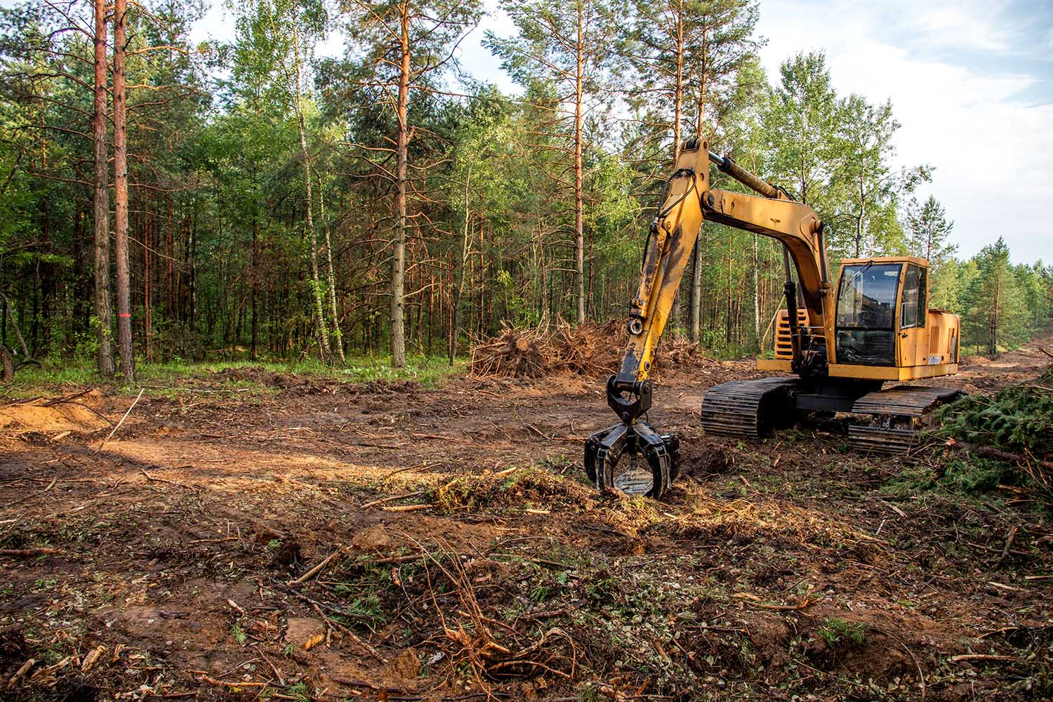 Alabama Site Work Land Clearing Services Alabama Site Work Land Clearing Services
