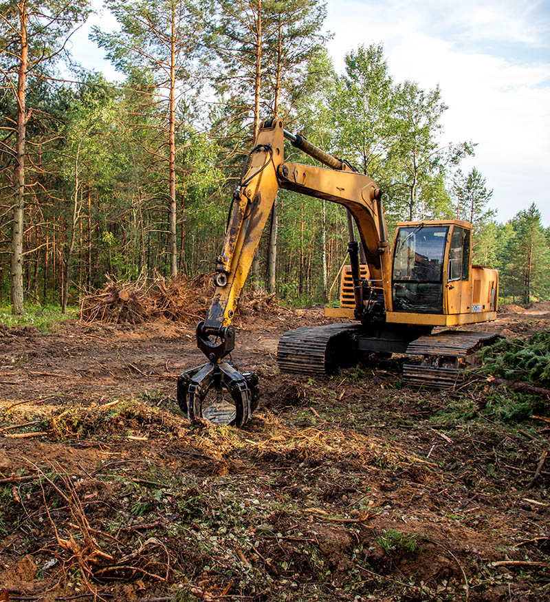 Alabama Site Work Services Alabama Site Work Services